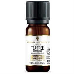 Tea Tree Organic Essential Oil 10ml, Amphora Aromatics