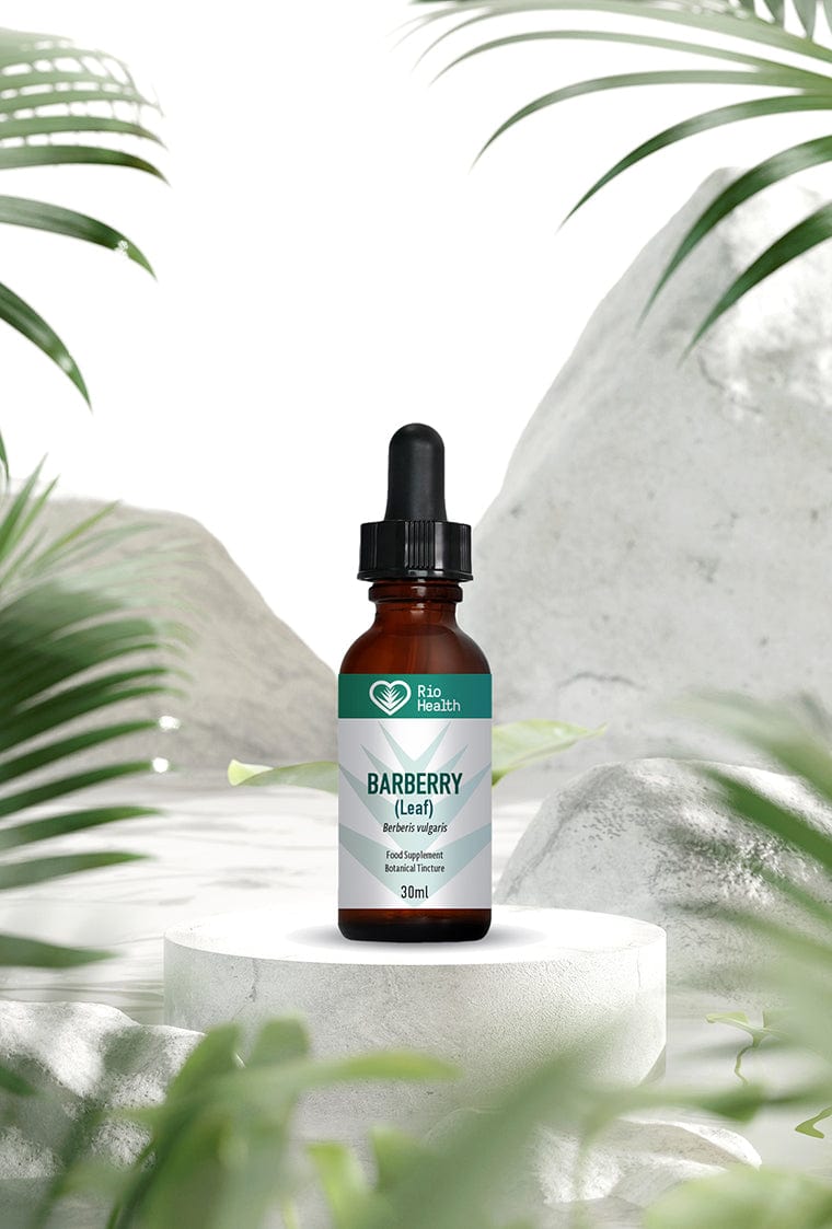 Rio Health Barberry (Leaf) - welzo