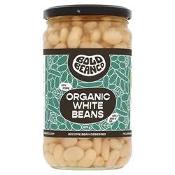 Organic White Beans 570g, Bold Bean Co