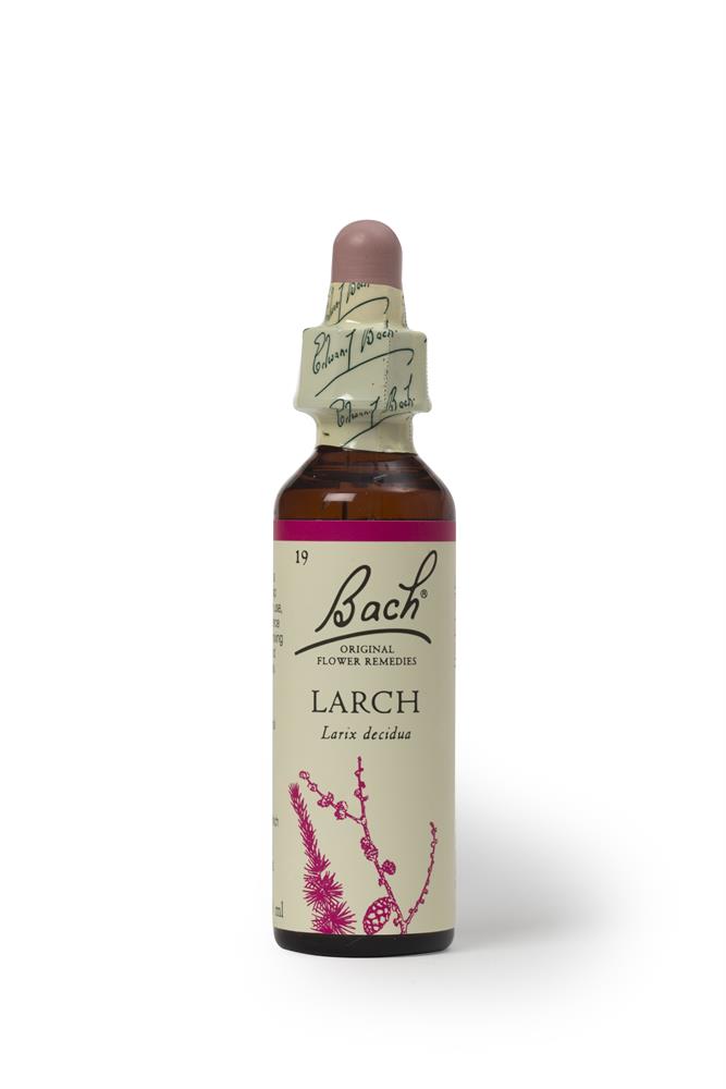 Bach Original Flower Remedies Larch 20ml, Bach Original Flower Remedies