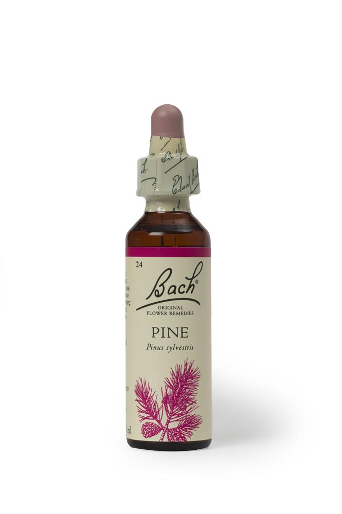 Bach Original Flower Remedies Pine 20ml, Bach Original Flower Remedies