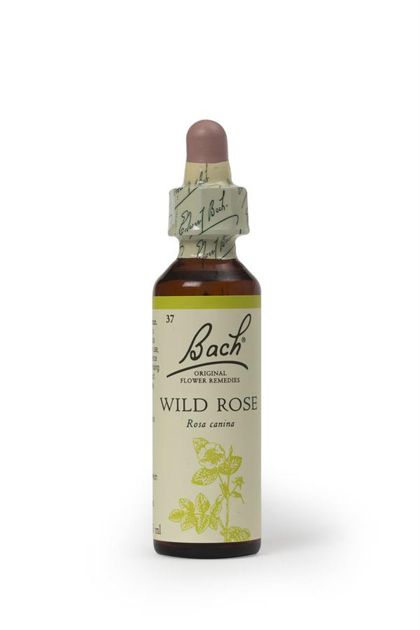 Wild Rose 20ml, Bach Original Flower Remedies