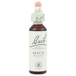 Beech 20ml, Bach Original Flower Remedies