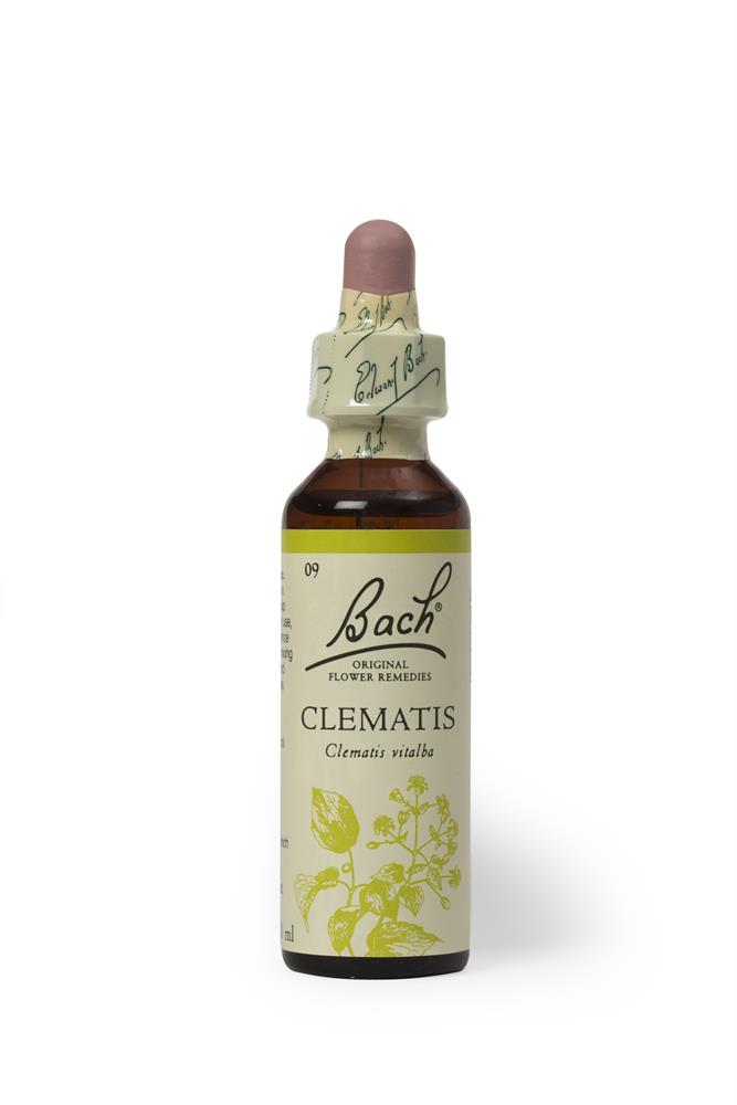 Bach Original Flower Remedies Clematis 20ml, Bach Original Flower Remedies