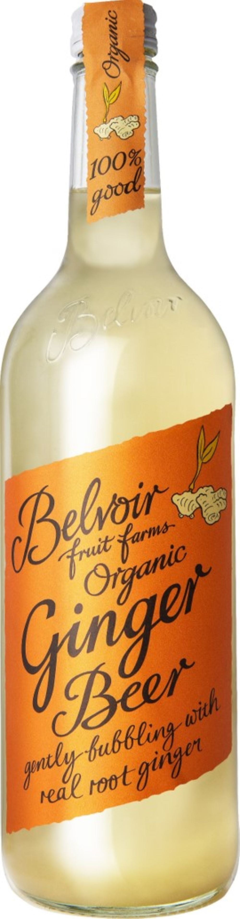 Organic Ginger Beer 750ml, Belvoir