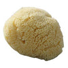 Organic Baby Sea Sponge Large, Beaming Baby