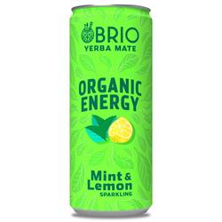 BRIO MATE Organic Energy Drink Mint & Lemon 250ml, Brio Mate