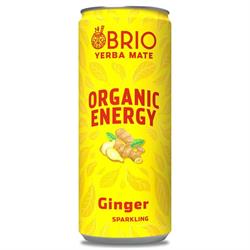 BRIO MATE Organic Energy Drink Ginger 250ml, Brio Mate