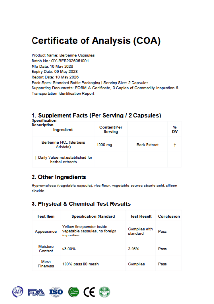 Welzo Ultra Purity Energy & Focus Stack – NMN + PQQ + TMG