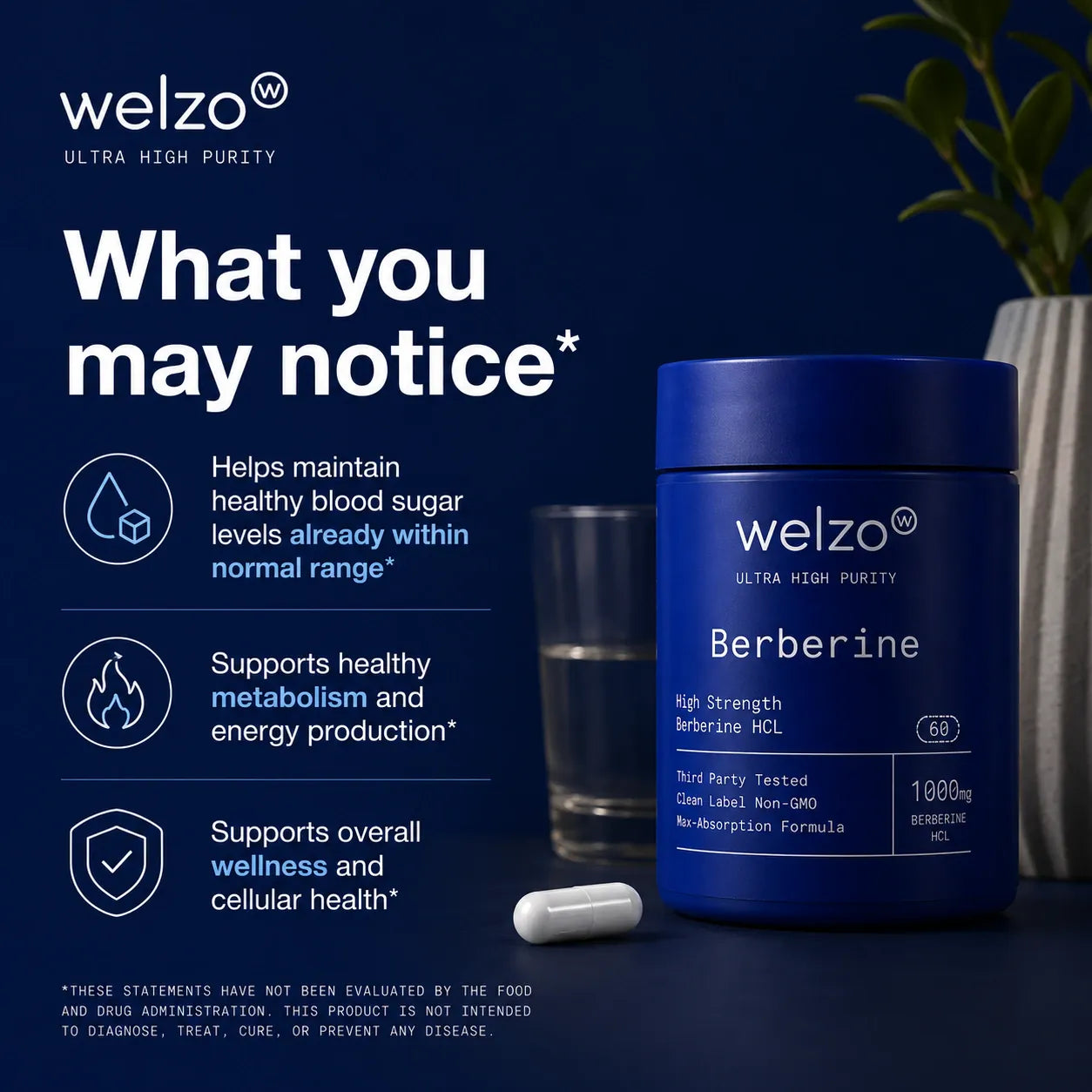 Βερβερίνη Welzo Ultra Purity