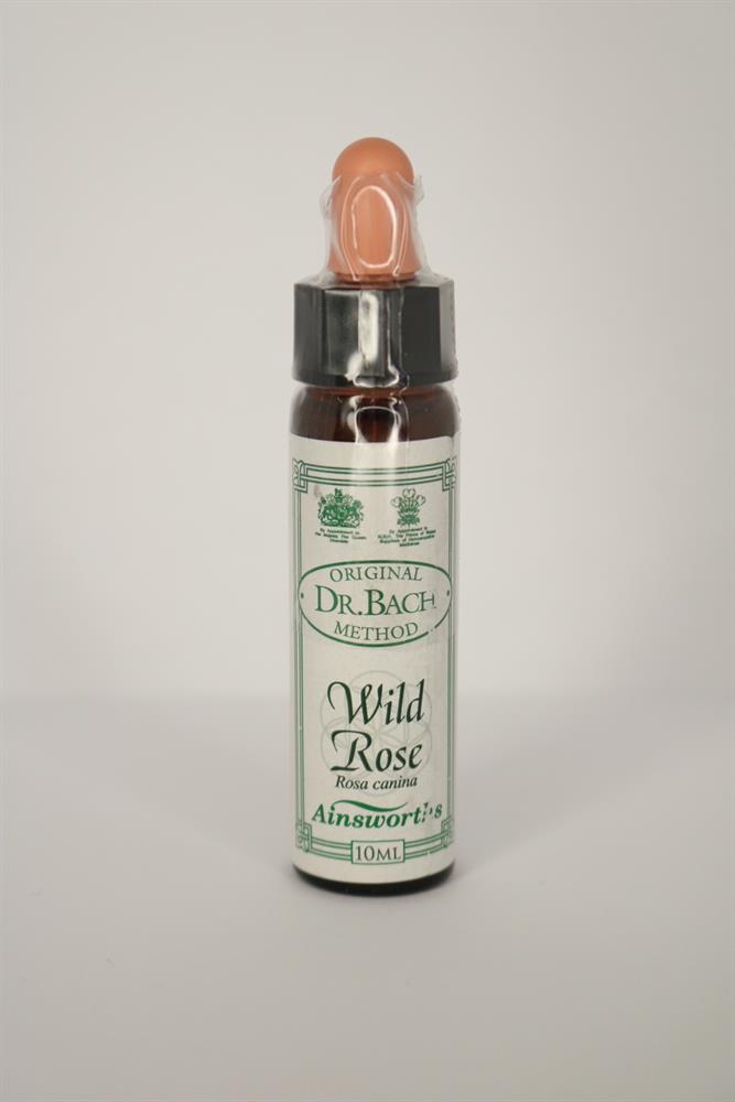 Wild Rose Bach Flower Remedy, Dr Bach