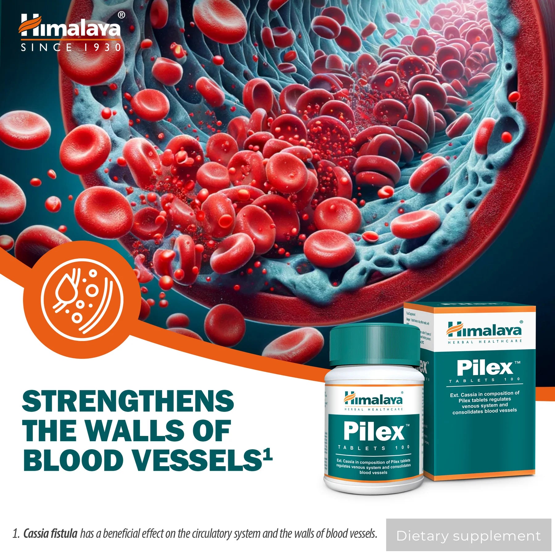Himalaya Pilex 100 Registerkarten