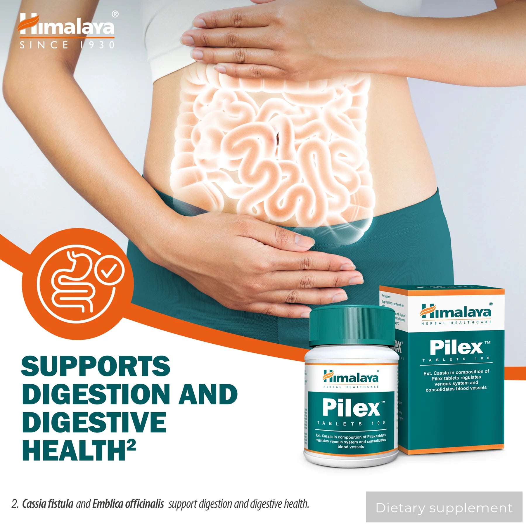 Himalaya Pilex 100 Registerkarten