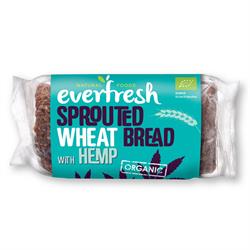 Organic Sprouted Wheat Hemp Bread 400g, Everfresh Natural Foods