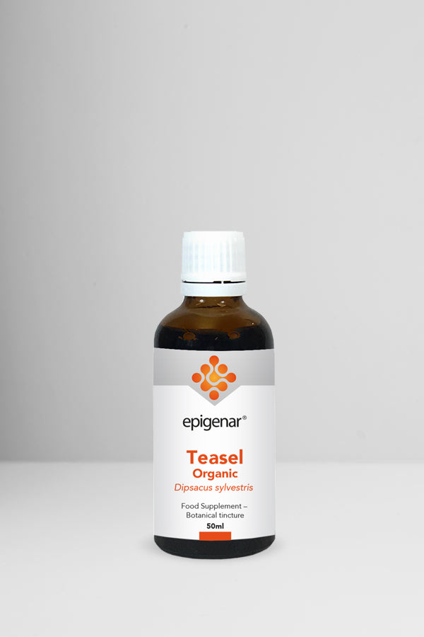 Epigenar Teasel Organic - welzo