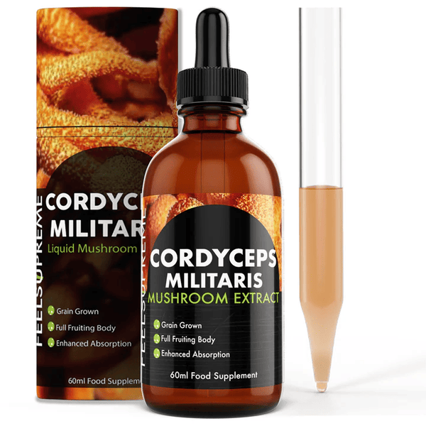 Feel Supreme Cordyceps Militaris Liquid | High Strength Tincture for Stamina 60ml