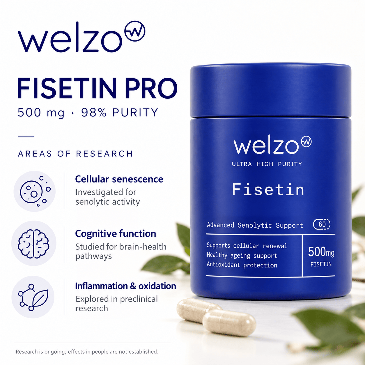 Welzo Ultra Purity Fisetin 500