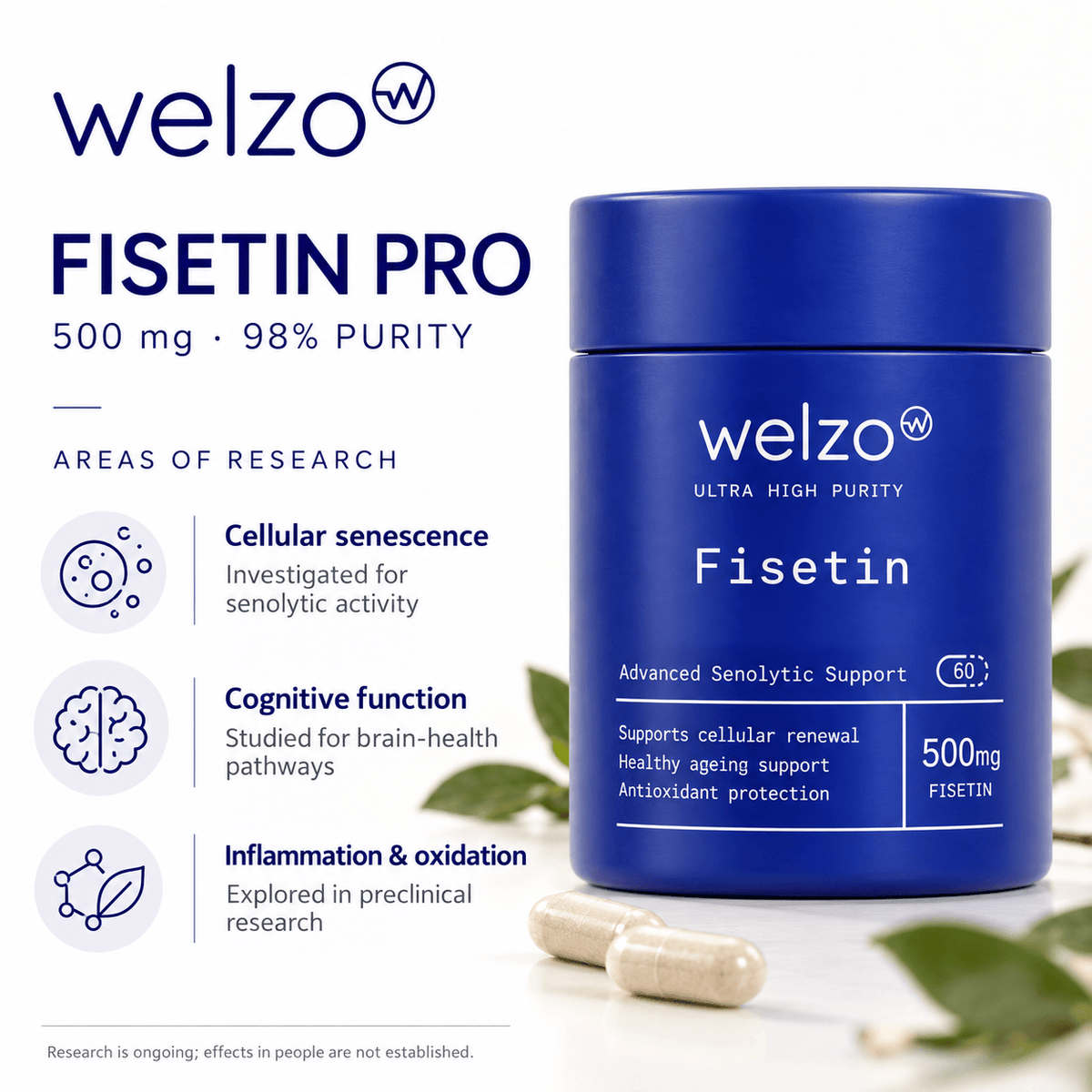 Welzo Ultra Purity Fisetin 500