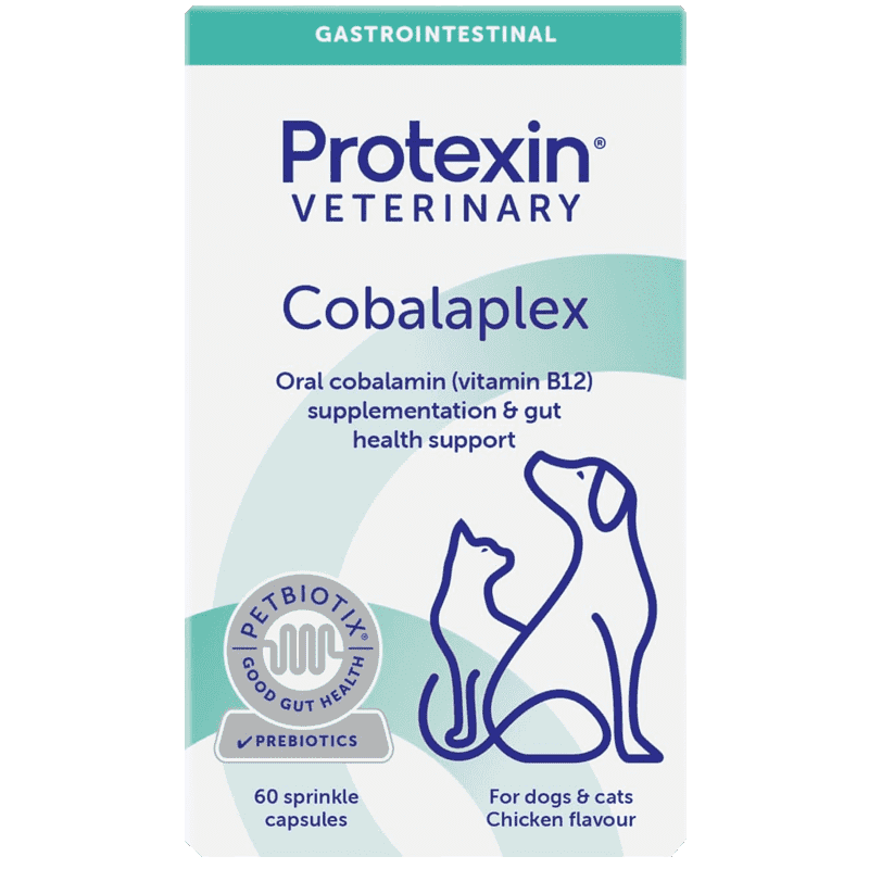 Protexin Cobalaplex Capsules for Dogs and Cats Pack of 60 - welzo