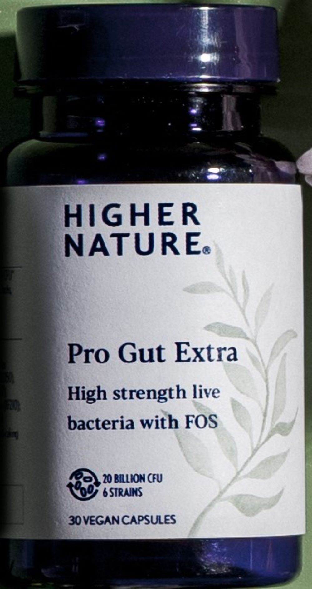 Pro Gut Extra 30 capsules, Higher Nature