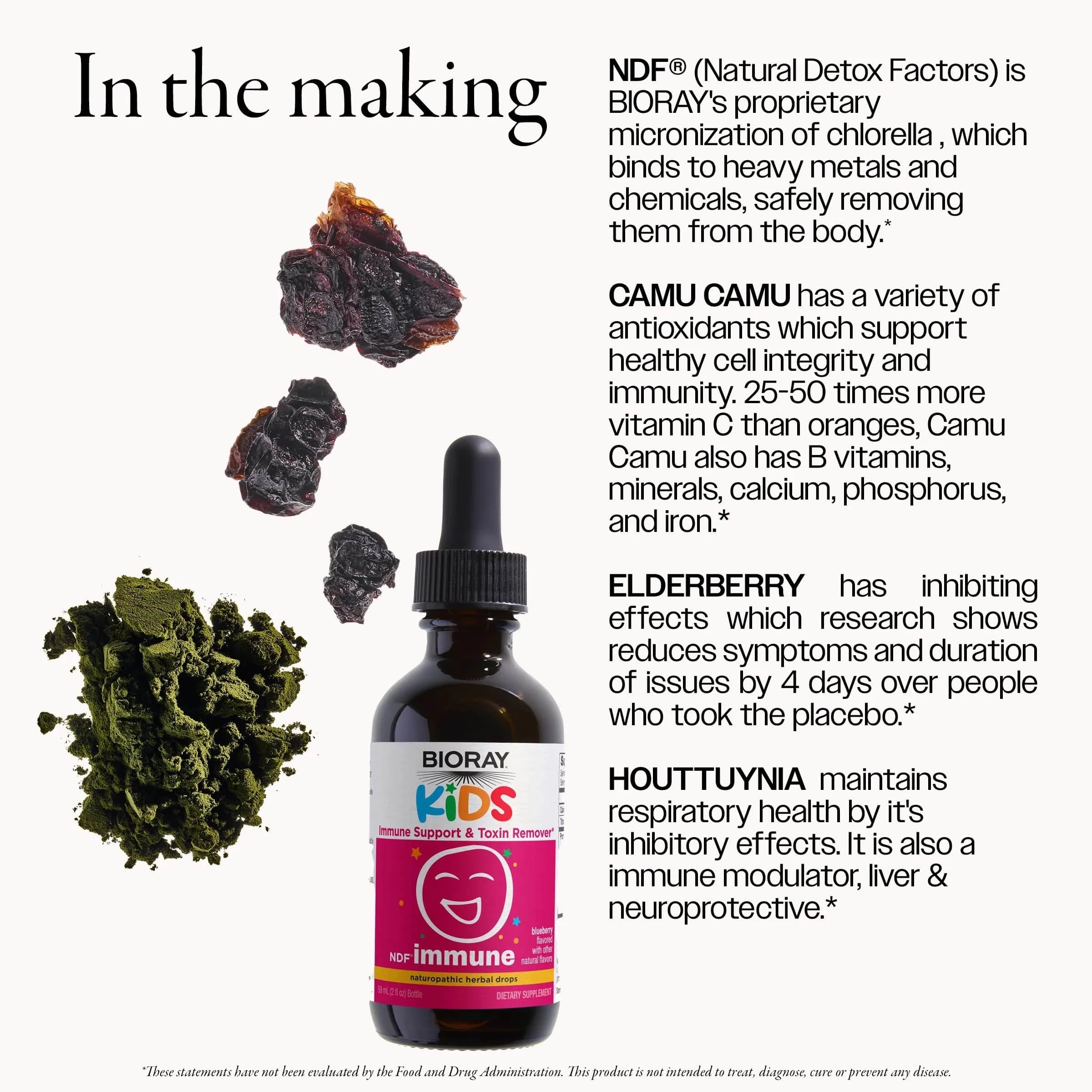 NDF -Immune - 2 oz - Bioray