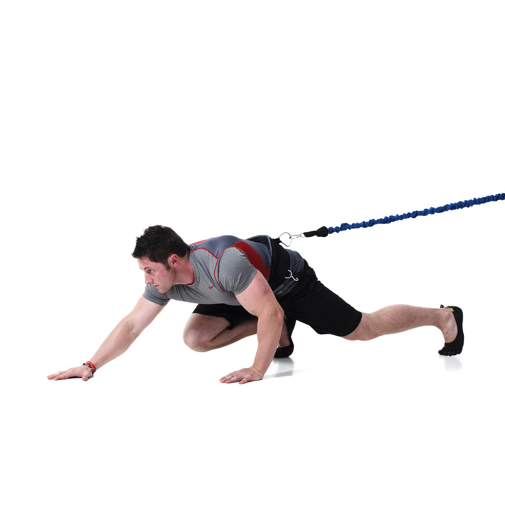 Vipers Blets Double Swivel Viper Belt (includes 2 Pro Flexi-cords) - Welzo