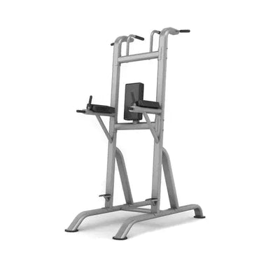 JORDAN Chin/Dip/Knee Raise - oval steel frame, Grey