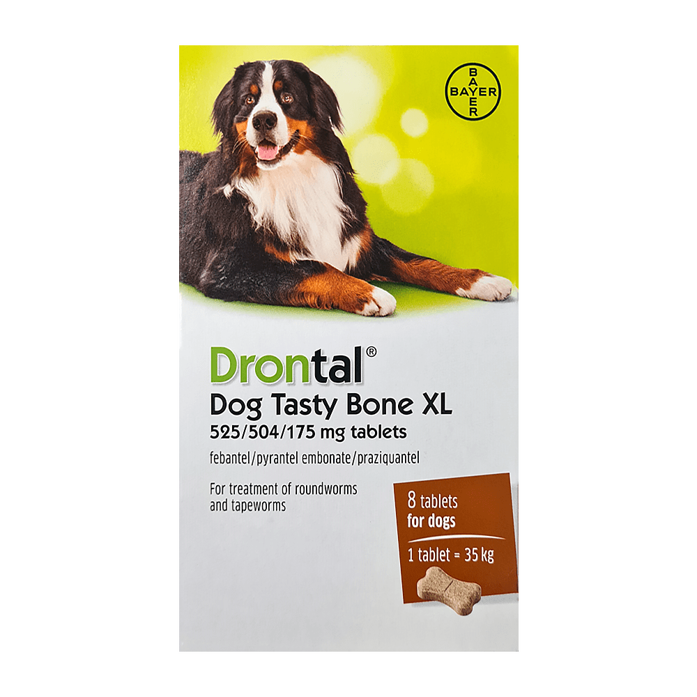 Drontal Dog Tasty Bone XL Tablets Pack of 8 - welzo