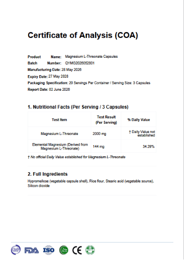 Zestaw Welzo Ultra Purity Energy & Focus — NMN + PQQ + TMG