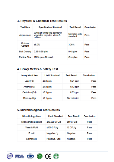 Zestaw Welzo Ultra Purity Energy & Focus — NMN + PQQ + TMG
