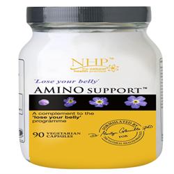 Amino Support 90 Capsules, Natural Health Practice