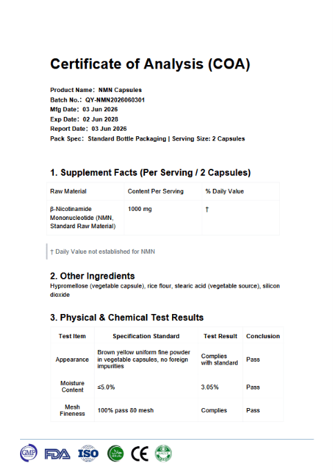 Zestaw Welzo Ultra Purity Energy & Focus — NMN + PQQ + TMG