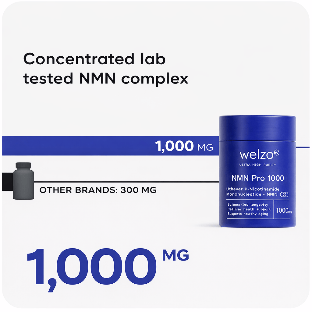 Third-party testing information showing batch verification for supplement identity and potency