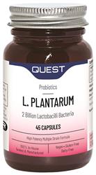 L PLANTARUM, Quest