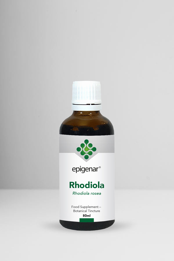 Epigenar Rhodiola rosea - welzo