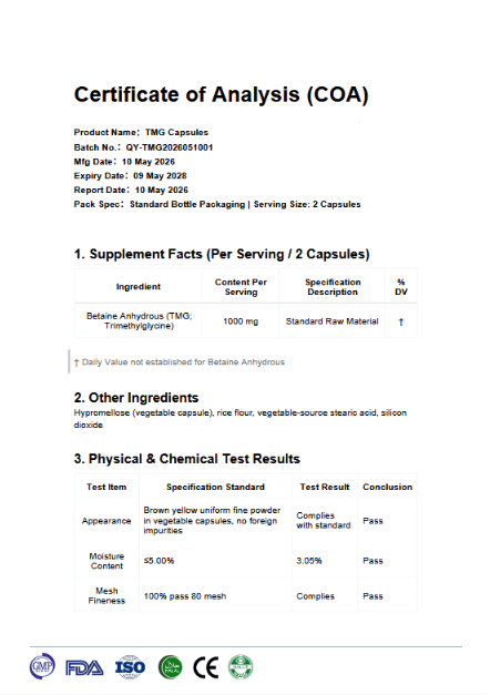 Zestaw Welzo Ultra Purity Energy & Focus — NMN + PQQ + TMG