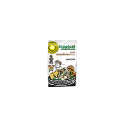 Porcini Mushrooms - 30g, Tropical Wholefoods