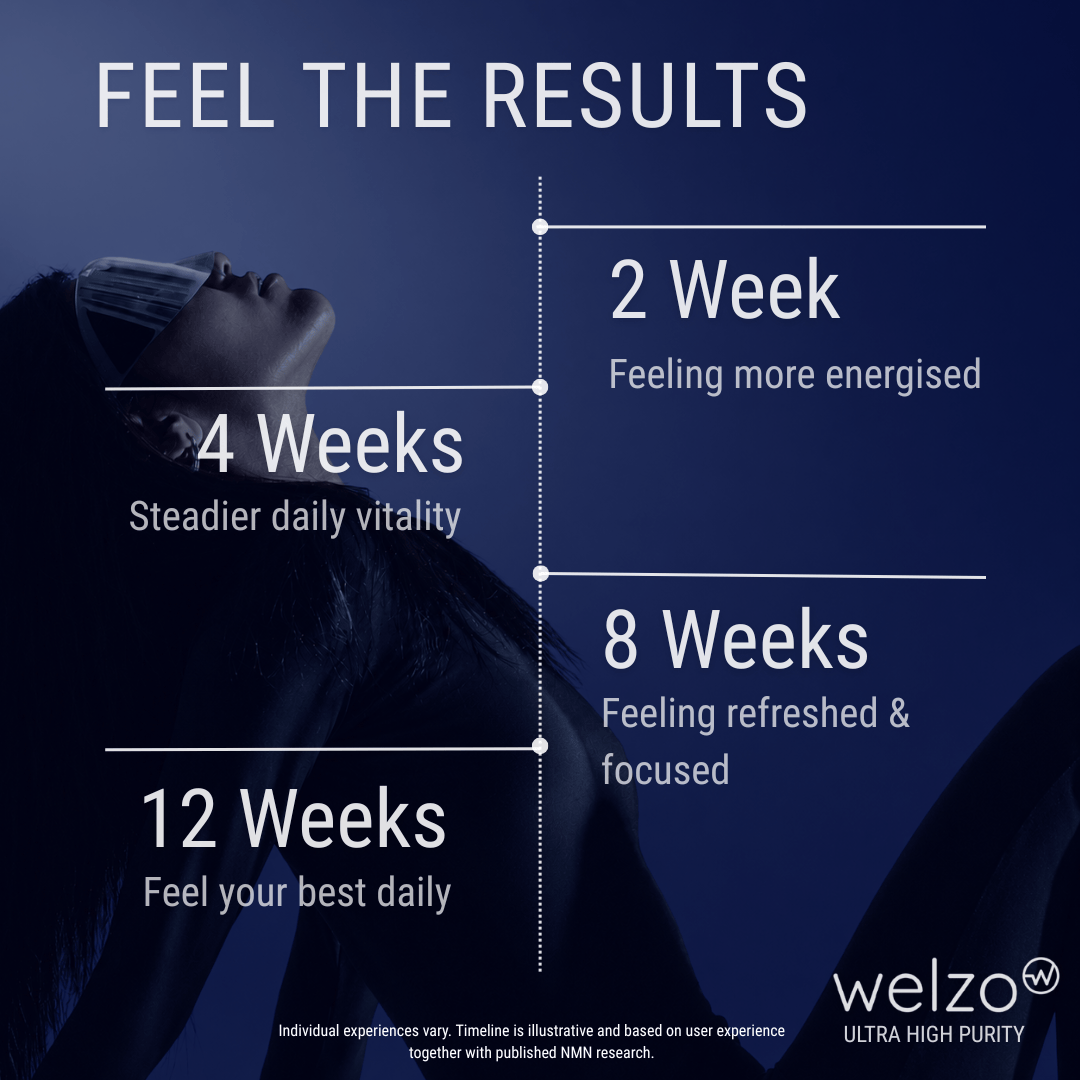 Timeline Mitopure Urolithin A versus the Welzo Longevity Stack NMN comparison for UK buyers