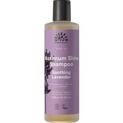 Soothing Lavender Shampoo Normal Hair 250ml, Urtekram