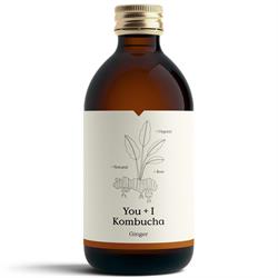 Kombucha - Ginger (Organic) - 330ml, You + I