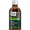 Black Elderberry Syrup, 3 oz - Gaia Herbs - welzo