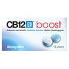 CB12 Strong Mint Chewing Gum x 10 Pieces - welzo