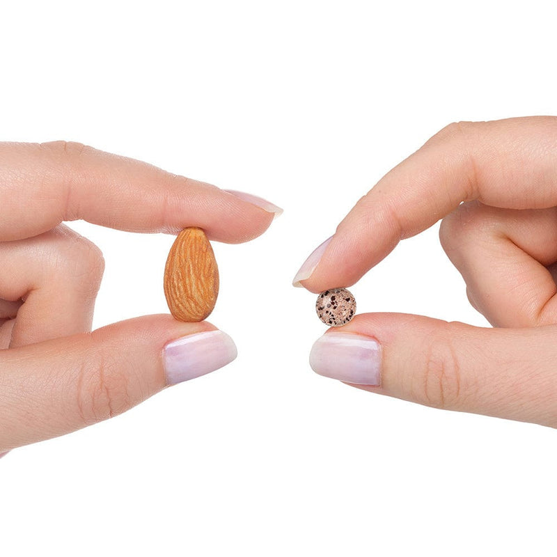 PQQ - 20 mg - 30 Lozenges - Seeking Health
