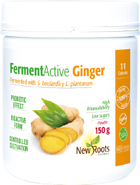 FermentActive Ginger, 150 g - New Roots Herbal - welzo