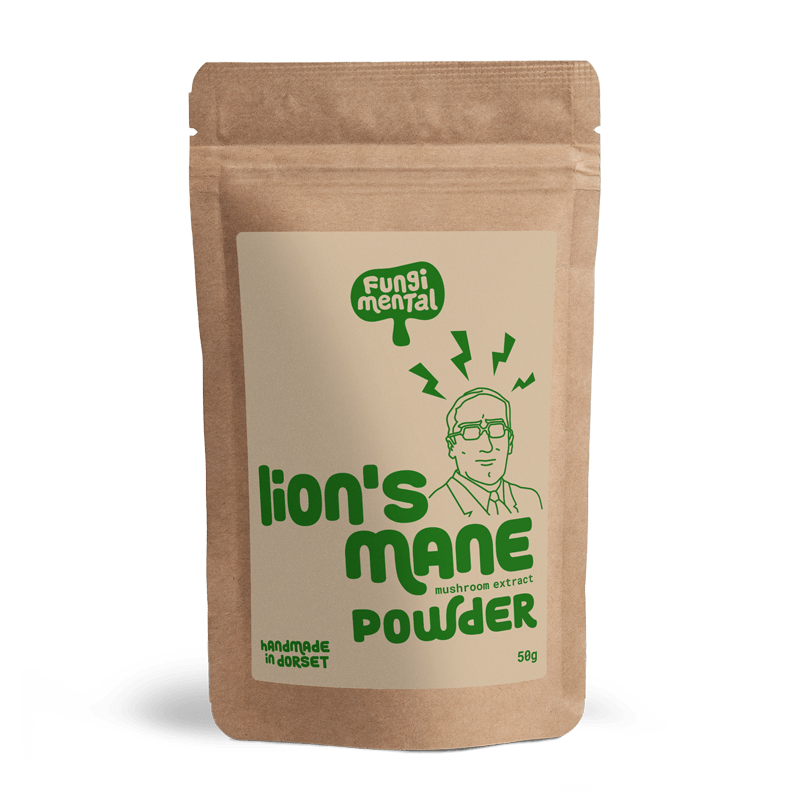 The Mushroom Cooperative Lion's Mane Extract Powder - Welzo