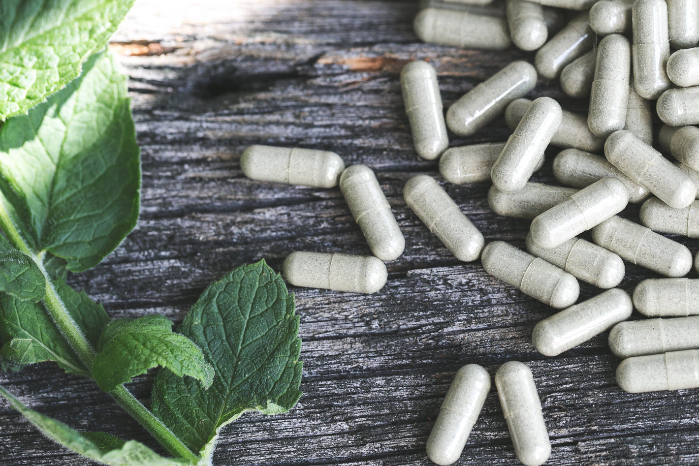 Best Supplements & Vitamins Welzo welzo