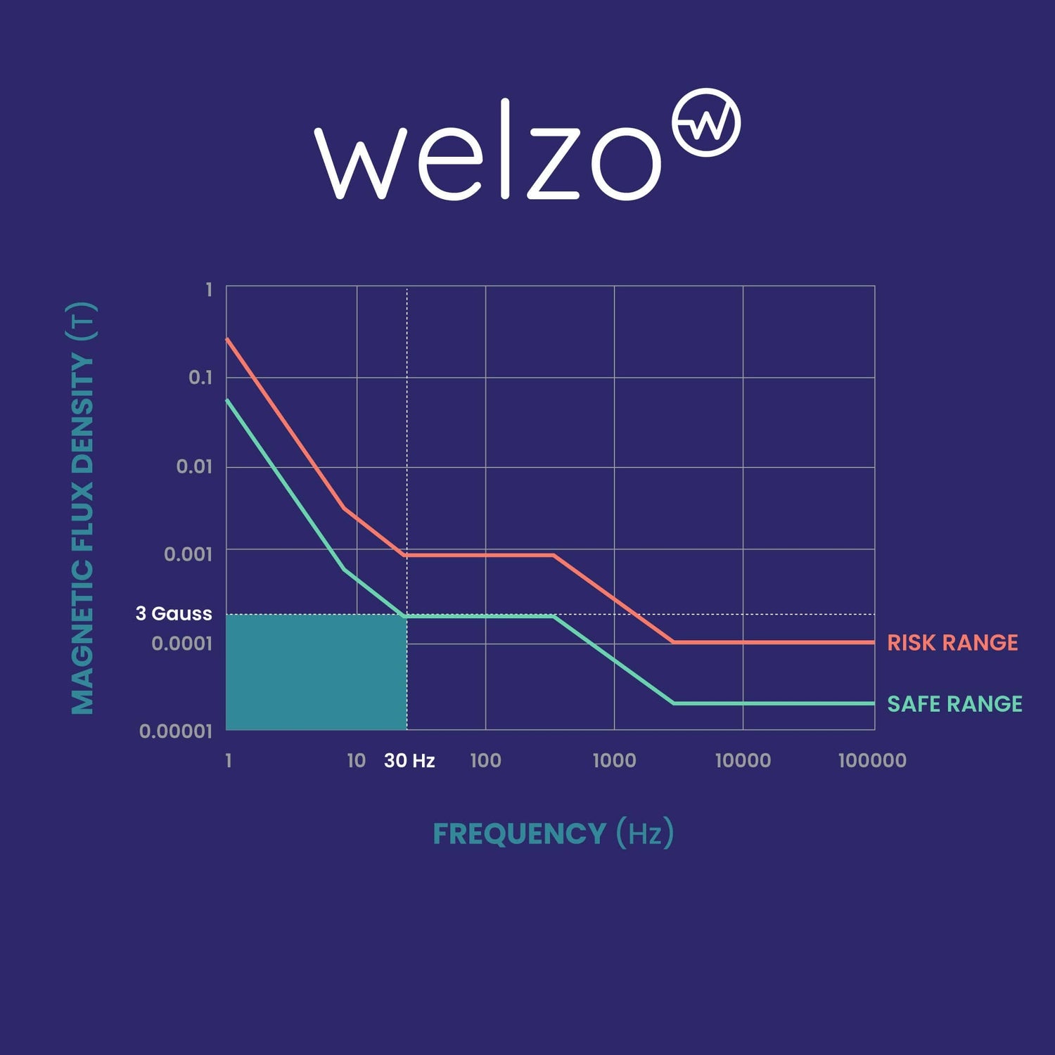 Welzo PEMF Infrared Therapy Mat – Full-Body Healing & Rejuvenation