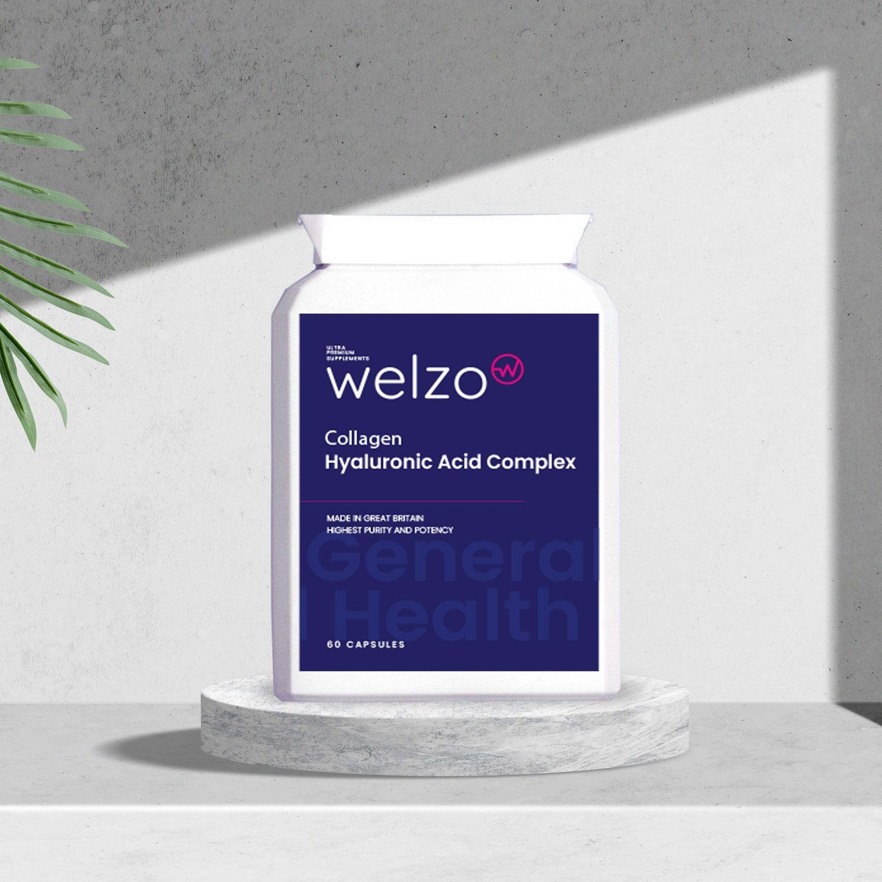 Welzo Collagen Hyaluronic Acid Complex 60 Capsules