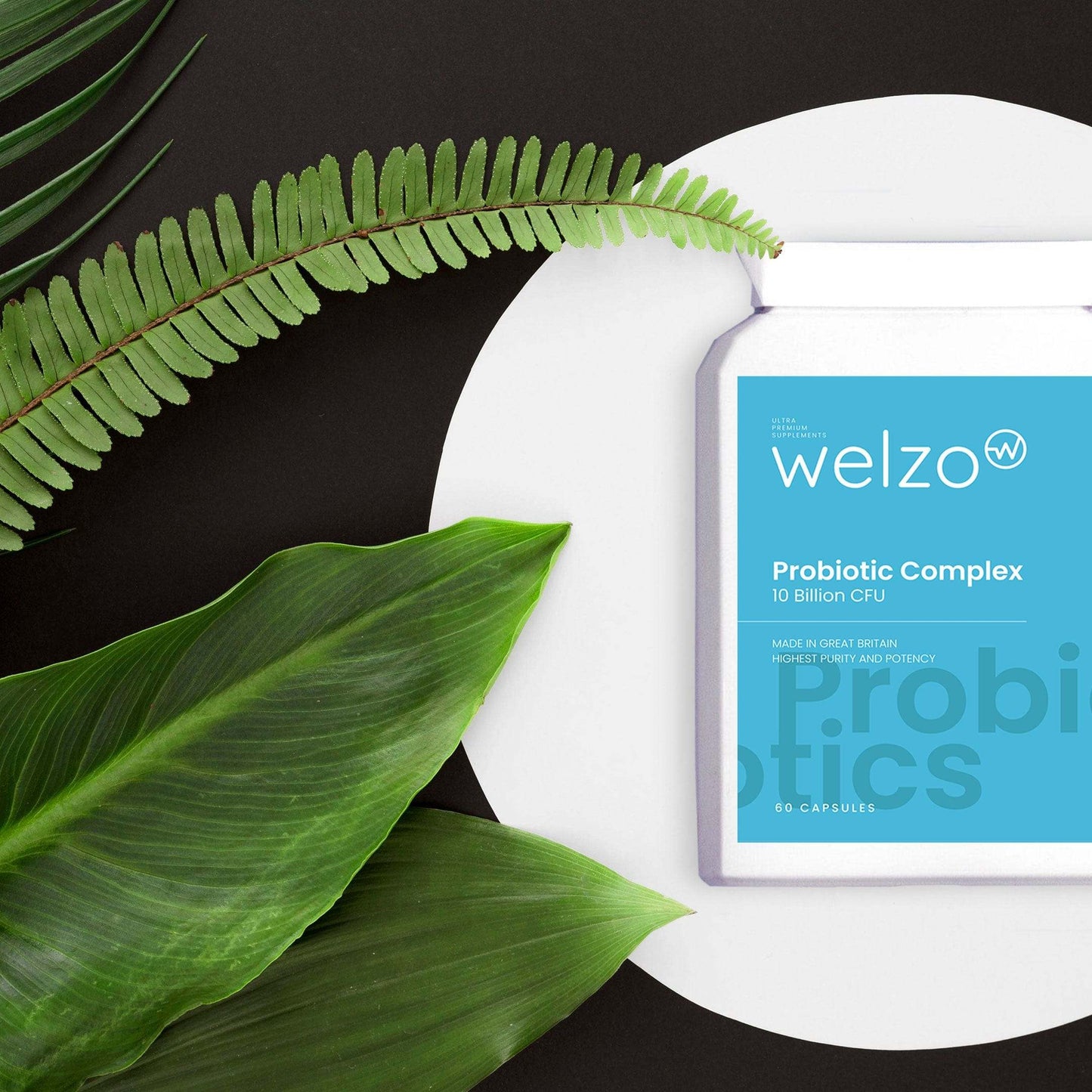 Welzo Probiotic Complex 10 Billion CFU 60 Capsules