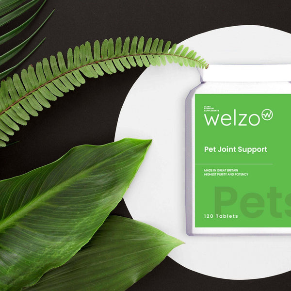 Welzo Pet Joint Support 120 Tablets